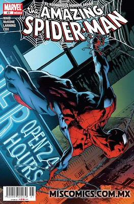 The Amazing Spider-Man (Grapa) #41