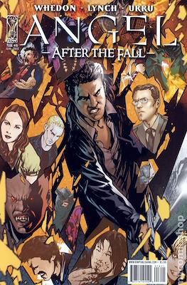 Angel After the Fall (2007-2009 Variant Cover) #16