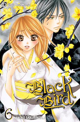 Black Bird (Softcover) #6
