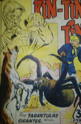 Rin-tin-tin / Davy y su fiel Roy #164