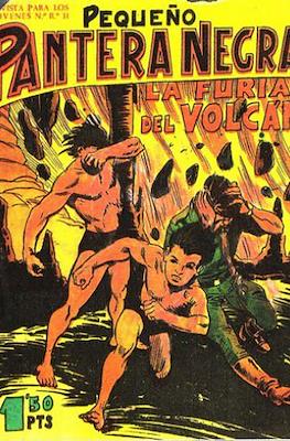Pantera Negra / Pequeño Pantera Negra #92