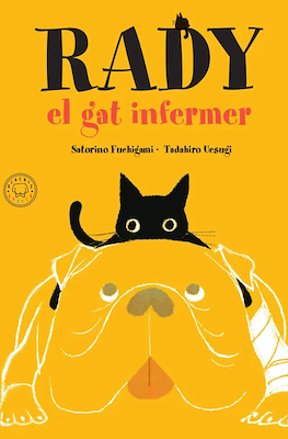 Rady, el gat infermer