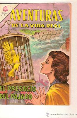 Aventuras de la vida real #114