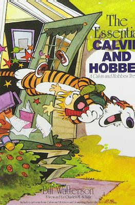 Calvin and Hobbes. Treasury Collections #1