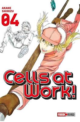 Cells at Work! (Rústica con sobrecubierta) #4
