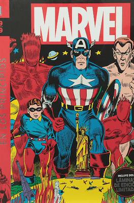 Marvel: La historia visual (Cartoné) #1