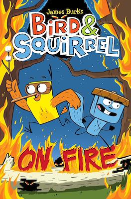 Bird & Squirrel #4