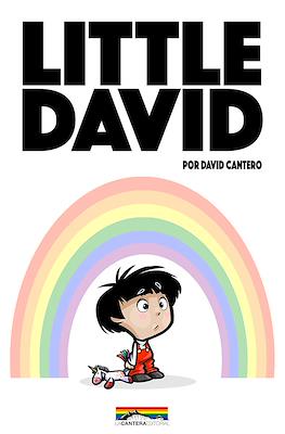 Little David