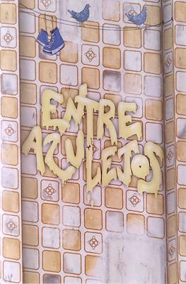 Entre Azulejos (Grapa 20 pp)