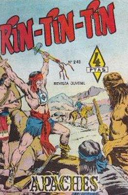 Rin-tin-tin / Davy y su fiel Roy #243