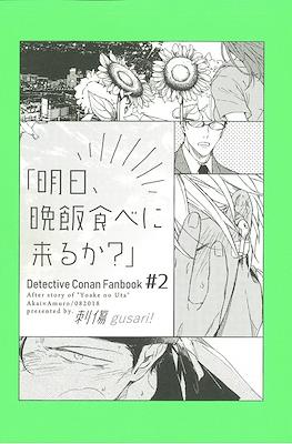 Sting (Detective Conan Fanbook) #2