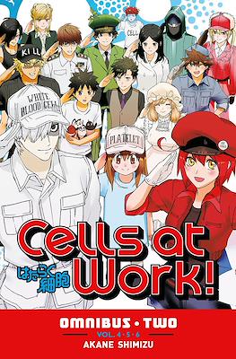 Cells at Work! Omnibus (Softcover) #2