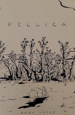 Pellica
