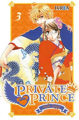 Private Prince (Rústica) #3