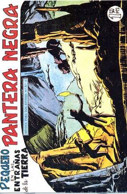 Pantera Negra / Pequeño Pantera Negra #153