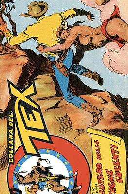 Le strisce di Tex #314
