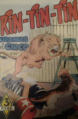 Rin-tin-tin / Davy y su fiel Roy #183