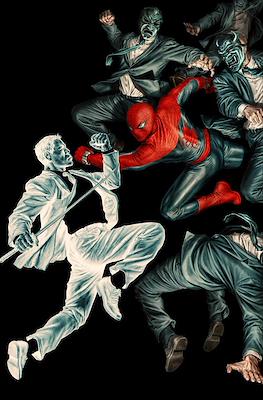 The Amazing Spider-Man Vol. 7 (2025-Variant Covers) #28.05