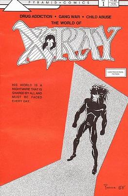 The World of X-Ray