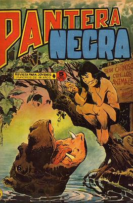 Pantera Negra #33