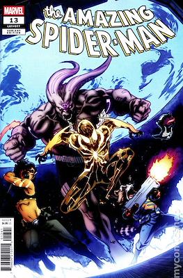 The Amazing Spider-Man Vol. 7 (2025-Variant Covers) (Comic Book 32-40 pp) #13.2