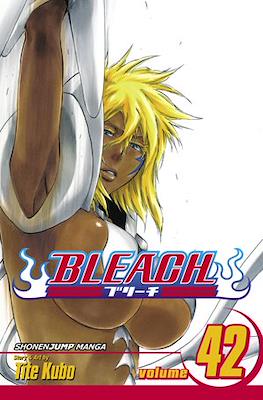 Bleach (Softcover) #42