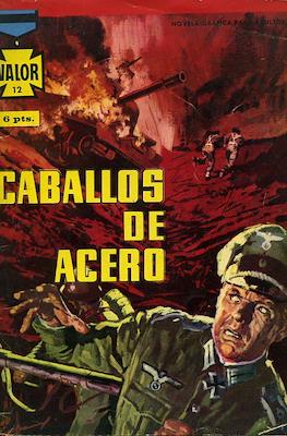 Valor #12