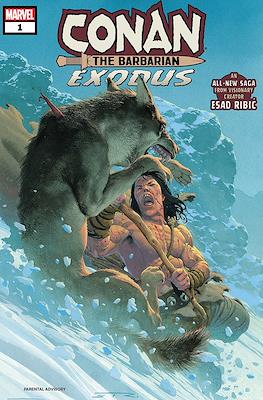 Conan The Barbarian: Exodus