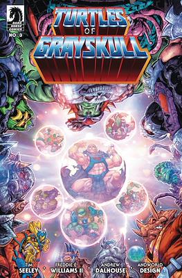 Masters of the Universe / Teenage Mutant Ninja Turtles: Turtles of Grayskull #3