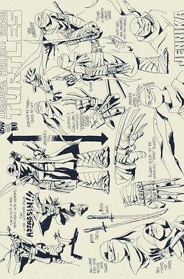 Teenage Mutant Ninja Turtles (2011-...Variant Covers) #100.95
