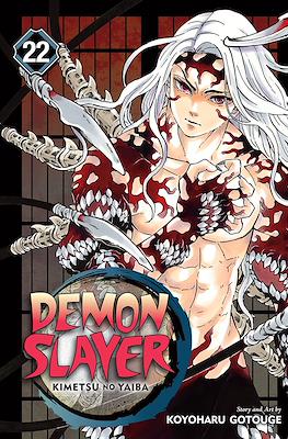 Demon Slayer: Kimetsu no Yaiba #22