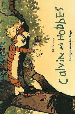 Calvin und Hobbes #8