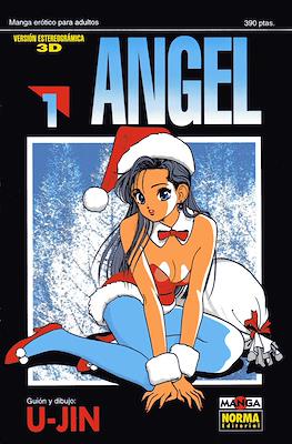 Angel (Rústica) #1