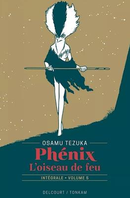 Phénix - L'oiseau de feu #5