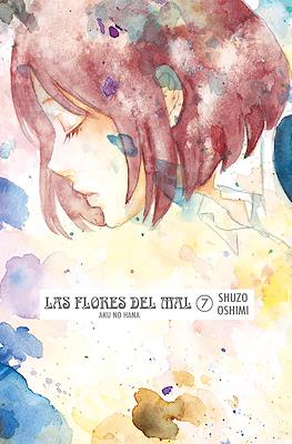 Las flores del mal (Aku no Hana) #7