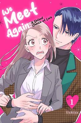 We Meet Again: A Second Chance at Love