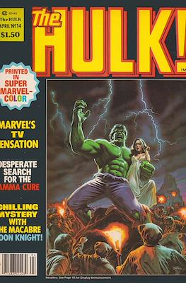 The Hulk! #14