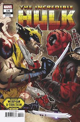 The Incredible Hulk (2023-Variant Cover) (Comic Book) #14.2