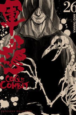 Coq de combat #26