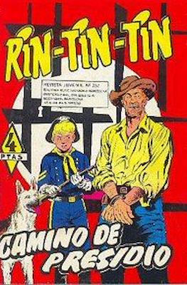 Rin-tin-tin / Davy y su fiel Roy #251