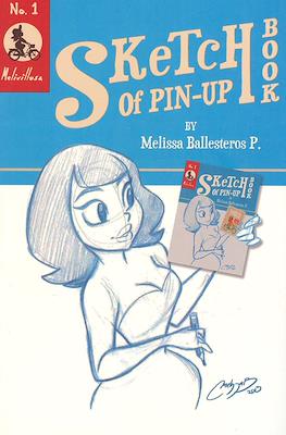 Sketch of Pin-up Book