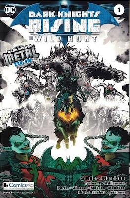 Dark Knights Rising: The Wild Hunt (2018-Variant Cover)