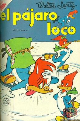 El pájaro loco #42