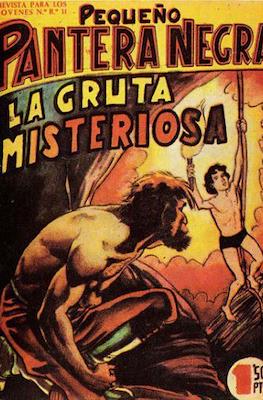 Pantera Negra / Pequeño Pantera Negra #79