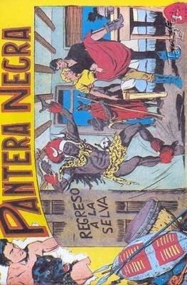 Pantera Negra / Pequeño Pantera Negra #38
