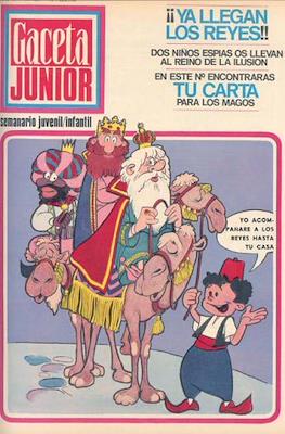 Gaceta Junior #12