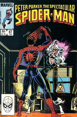 Peter Parker, The Spectacular Spider-Man Vol. 1 (1976-1987) / The Spectacular Spider-Man Vol. 1 (1987-1998) (Comic Book) #87