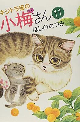 キジトラ猫の小梅さん 虎斑猫小梅 (Kijitora Neko no Koume-san) #11