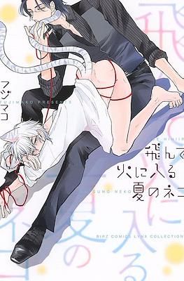 飛んで火に入る夏のネコ (Tonde Hi ni Iru Natsu no Neko)