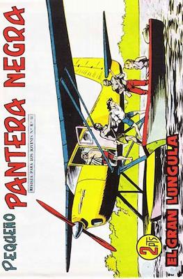 Pantera Negra / Pequeño Pantera Negra #289
